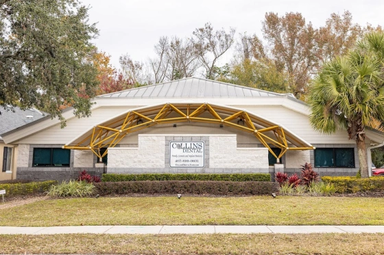 A wide, straight-on view of the single-story Collins Dental building from across the lawn. The building features a prominent arched yellow structural canopy over the central "COLLINS DENTAL" signage, flanked by dark windows, green bushes, and palm trees.