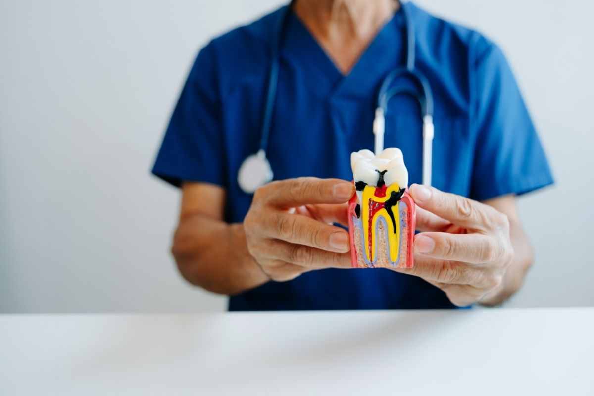 What Makes a Dentist Top-Rated in Winter Springs?